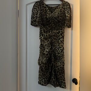 Dolce & Gabbana leopard dress